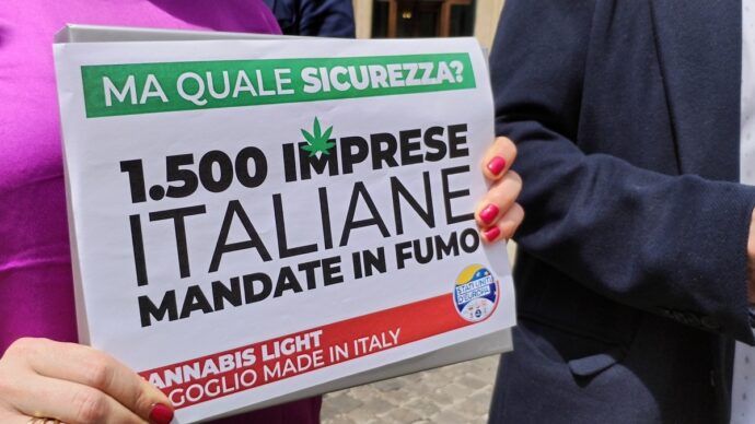 Cannabis light, il Cbd è una droga? Il Consiglio di Stato rinvia la decisione alla Corte di Giustizia Ue: in ballo 30mila lavoratori