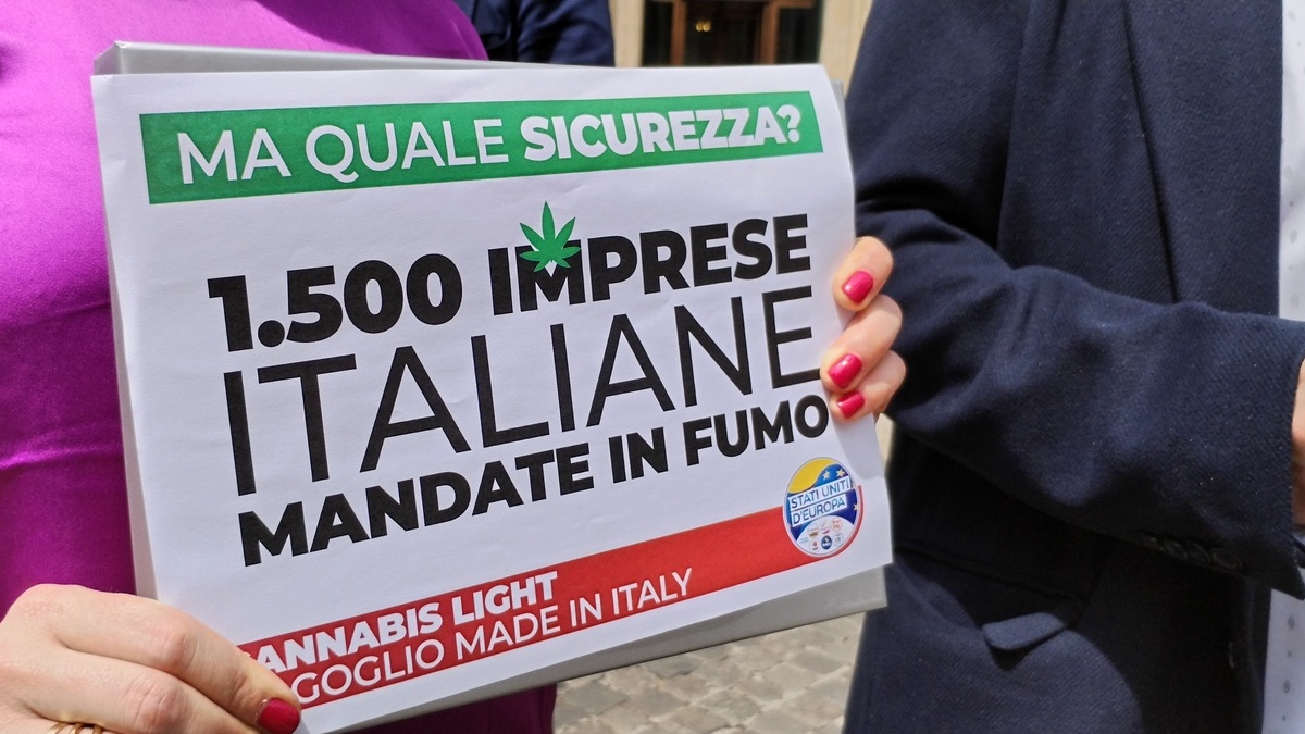 https://st.ilfattoquotidiano.it/wp-content/uploads/2026/08/03/cannabis_light_1200x675.jpg