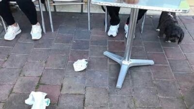 Copertina di “Al piano sopra il nostro bar vive una bimba di 2 anni che getta la spazzatura giù e colpisce i clienti in testa”: i titolari denunciano e il caso esplode sui social
