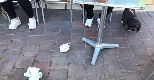 “Al piano sopra il nostro bar vive una bimba di 2 anni che getta la spazzatura giù e colpisce i clienti in testa”: i titolari denunciano e il caso esplode sui social