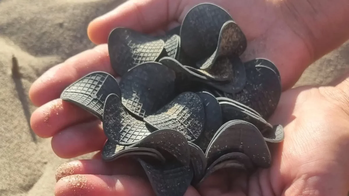 Il mistero dei dischetti di plastica nera dalla costa adriatica arriva in Puglia, cresce l’allarme sull’origine