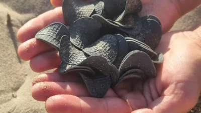 Copertina di Il mistero dei dischetti di plastica nera dalla costa adriatica arriva in Puglia, cresce l’allarme sull’origine