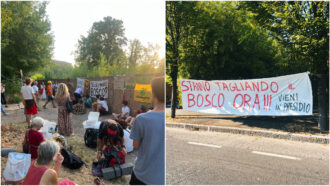 Copertina di A Reggio Emilia continua la resistenza per salvare il polmone verde della città. Gli attivisti: “Il Bosco Ospizio non si vende, si difende”