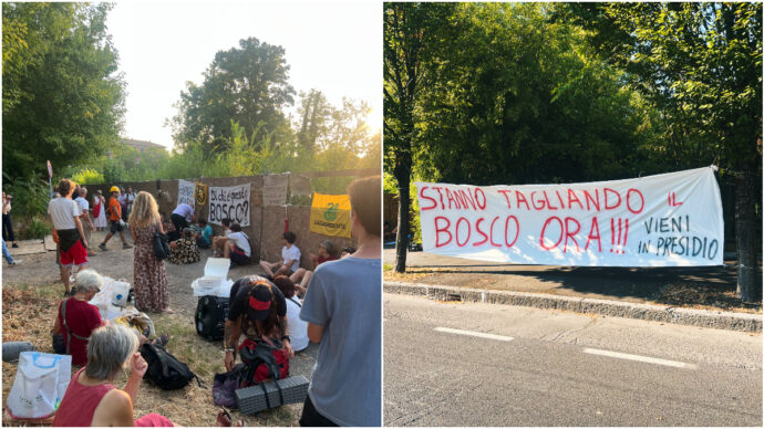 A Reggio Emilia continua la resistenza per salvare il polmone verde della città. Gli attivisti: “Il Bosco Ospizio non si vende, si difende”