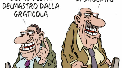 Copertina di La vignetta di Franzaroli