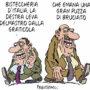 Copertina di La vignetta di Franzaroli