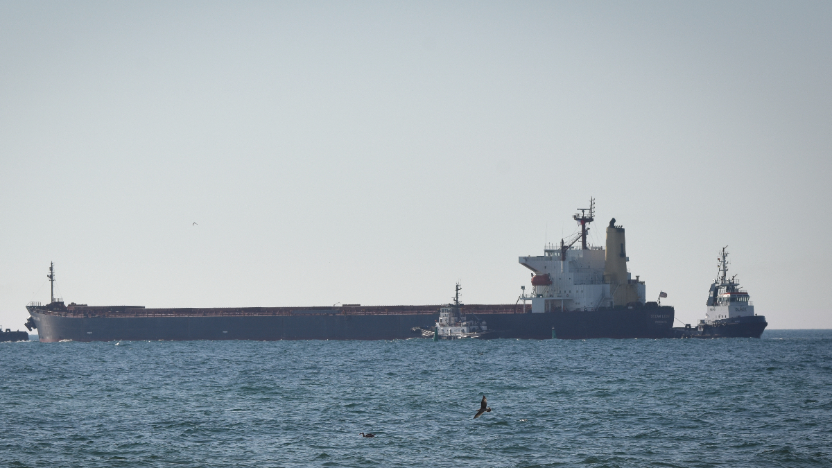 ucraina bild una nave cargo tedesca colpita da droni russi vicino a odessa da Ilfattoquotidiano.it ucraina bild una nave cargo tedesca colpita da droni russi vicino a odessa