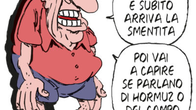 Copertina di La vignetta di Franzaroli