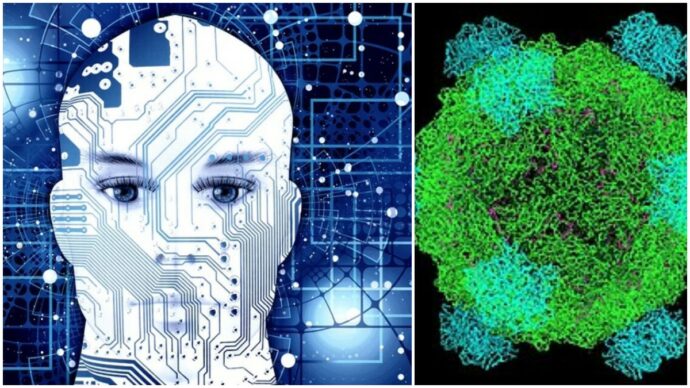 L’intelligenza artificiale progetta virus sintetici: creati batteriofagi con genomi completamente nuovi