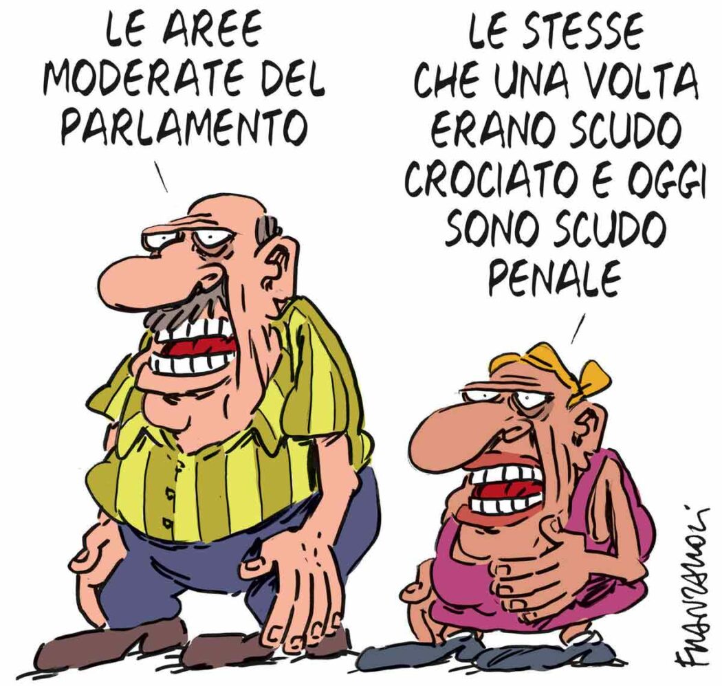 La vignetta di Franzaroli