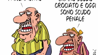Copertina di La vignetta di Franzaroli