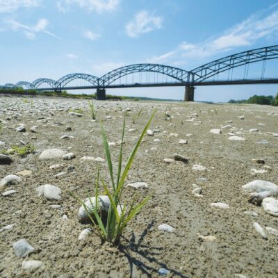Copertina di Come e peggio del 2022, torna la siccità al Nord e non è cambiato nulla: tra ritardi, burocrazia e pochi fondi