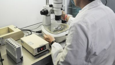 Copertina di La spiegazione del direttore del centro: “Una biologa lesse la riga sbagliata al computer”