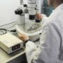 Copertina di Scambio di embrioni all’ospedale San Raffaele, la spiegazione del direttore del centro: “Una biologa lesse la riga sbagliata al computer”