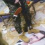 Copertina di Arresti e torture: pena di morte per Assad&C. Ma lui è in Russia