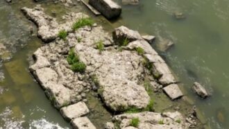 Siccità a Roma, dal Tevere in secca riemergono i resti di un ponte romano