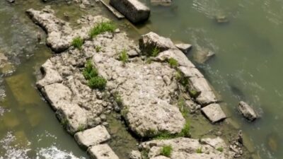 Copertina di Siccità a Roma, dal Tevere in secca riemergono i resti di un ponte romano