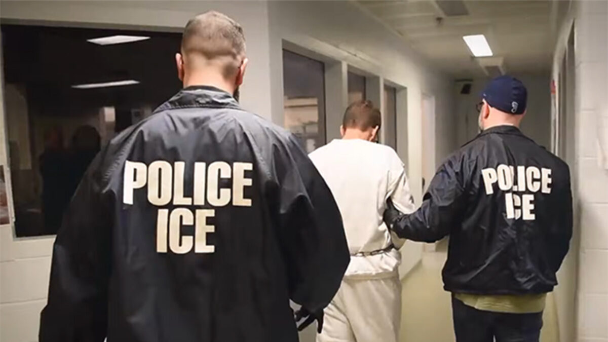 guanti elettrici che emettono scosse il nuovo regalo di trump agli agenti ice prevista una spesa fino a venti milioni da Ilfattoquotidiano.it guanti elettrici che emettono scosse il nuovo regalo di trump agli agenti ice prevista una spesa fino a venti milioni