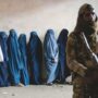 Copertina di Afghanistan, l’anniversario talebano: città blindate, sparatorie e povertà| Il reportage