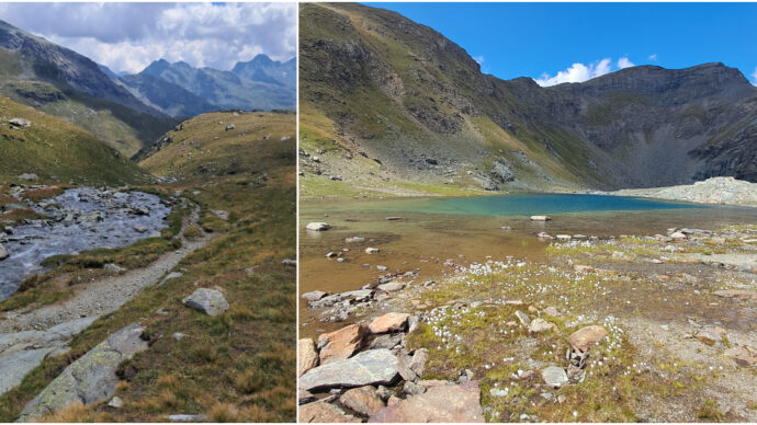 La maledizione dello sci sulle Cime Bianche, i tesori naturalistici a rischio per il collegamento tra Cervino e Monte Rosa: “Progetto devastante”