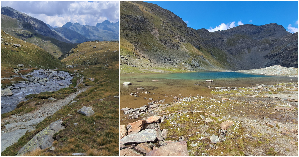 La maledizione dello sci sulle Cime Bianche, i tesori naturalistici a rischio per il collegamento tra Cervino e Monte Rosa: “Progetto devastante”