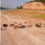 Copertina di Clima, la sete del Danubio mette in crisi le centrali nucleari in Ungheria e Romania. Bucarest la spegne e chiede “consumo responsabile” ai cittadini
