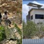 Copertina di “I coloni non danno tregua, non c’è una reale volontà di reprimerli”: il racconto degli italiani che si trovano insieme ai palestinesi assediati a Qusra