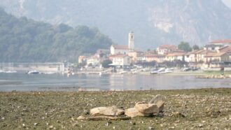 Copertina di Spiagge di centinaia di metri, barche in secca: la siccità svuota fiumi e laghi del Nord. Gli effetti invisibili: “Nell’acqua del Maggiore meno ossigeno”