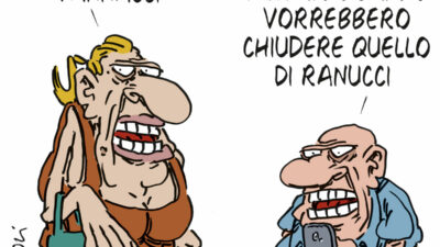 Copertina di La vignetta di Franzaroli