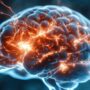 Copertina di Occhiali trasparenti contro il declino cognitivo e Alzheimer: così la luce gamma stimola il cervello