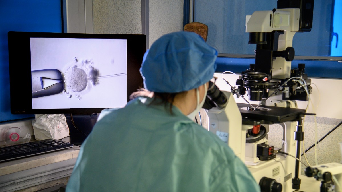 napoli impiantato l8217embrione di un8217altra coppia qualcuno ha il nostro figlio biologico quattro famiglie chiedono risposte al san paolo da Ilfattoquotidiano.it napoli impiantato l8217embrione di un8217altra coppia qualcuno ha il nostro figlio biologico quattro famiglie chiedono risposte al san paolo