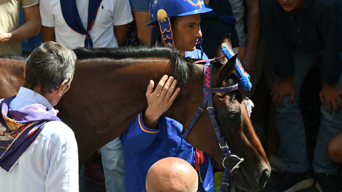 il nicchio vince il palio dell8217assunta a siena tredicesimo trionfo per il fantino tittia ora insidia il record 14 di aceto da Ilfattoquotidiano.it il nicchio vince il palio dell8217assunta a siena tredicesimo trionfo per il fantino tittia ora insidia il record 14 di aceto