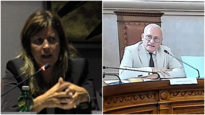 Copertina di Nessuna traccia dell’ultraleggero scomparso nel cosentino. A bordo Carlo Arnulfo e Angela Buccico: chi sono i due avvocati