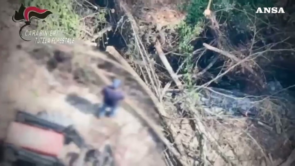 cos236 un drone ha intercettato un piromane agricoltore arrestato dai carabinieri da Ilfattoquotidiano.it cos236 un drone ha intercettato un piromane agricoltore arrestato dai carabinieri