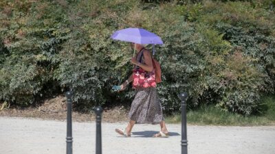 Copertina di Barcellona, i rifugi climatici contro il caldo estremo chiudono per ferie: “Sulla carta oltre 500, ma sempre aperti sono solo la metà”