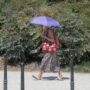 Copertina di Barcellona, i rifugi climatici contro il caldo estremo chiudono per ferie: “Sulla carta oltre 500, ma sempre aperti sono solo la metà”