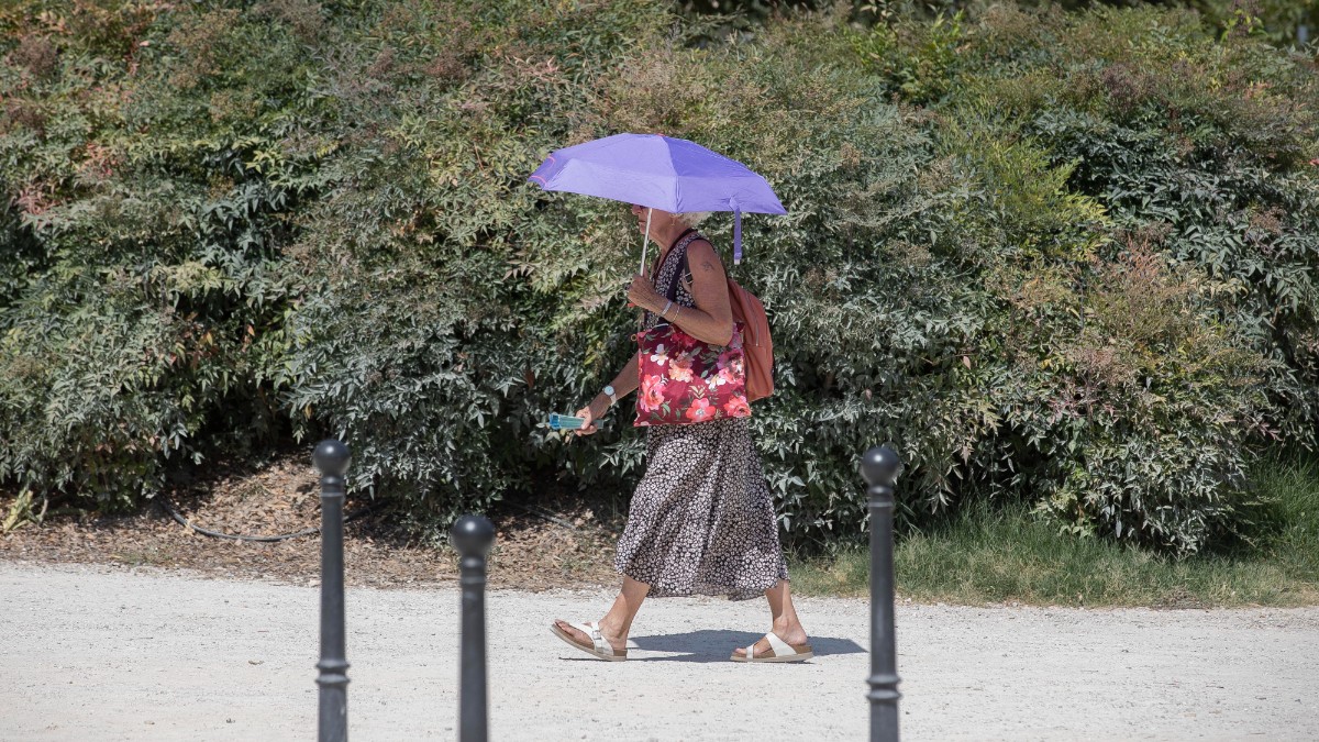 barcellona i rifugi climatici contro il caldo estremo chiudono per ferie sulla carta oltre 500 ma sempre aperti sono solo la met224 da Ilfattoquotidiano.it barcellona i rifugi climatici contro il caldo estremo chiudono per ferie sulla carta oltre 500 ma sempre aperti sono solo la met224