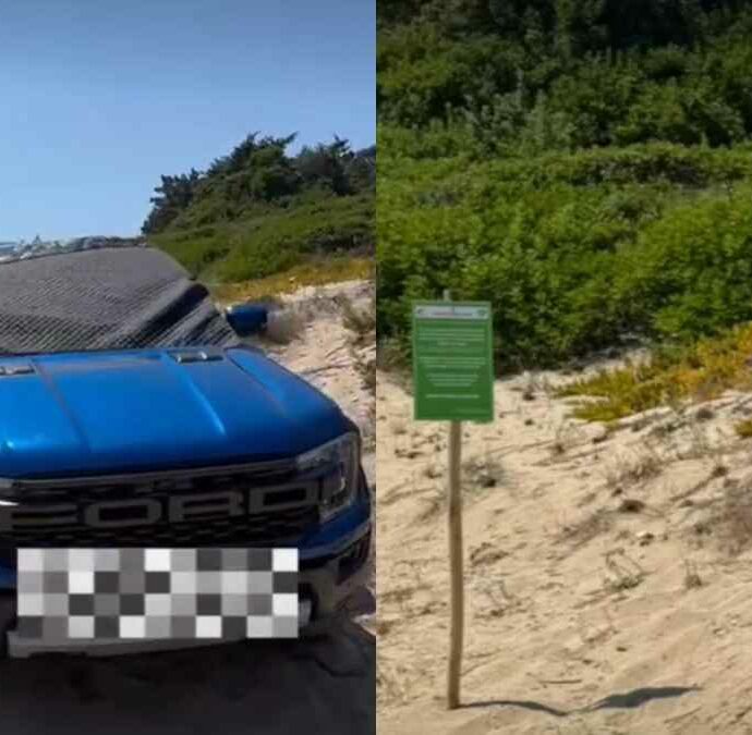 “Dal prossimo anno i barbari verranno cacciati via. Qui non si tratta solo di inciviltà, significa essere proprio balordi”: la rabbia del vicesindaco per il suv parcheggiato sulle dune, multa da 5 mila euro