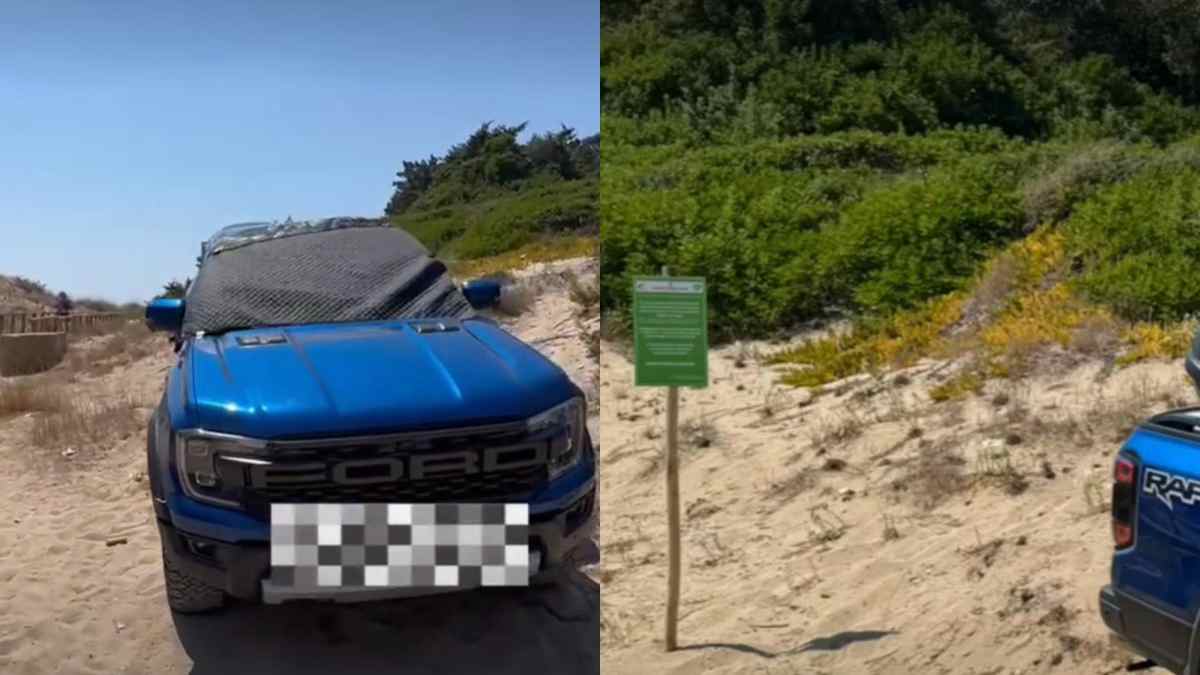 dal prossimo anno i barbari verranno cacciati via qui non si tratta solo di incivilt224 significa essere proprio balordi la rabbia del vicesindaco per il suv parcheggiato sulle dune multa da 5 mila euro da Ilfattoquotidiano.it dal prossimo anno i barbari verranno cacciati via qui non si tratta solo di incivilt224 significa essere proprio balordi la rabbia del vicesindaco per il suv parcheggiato sulle dune multa da 5 mila euro