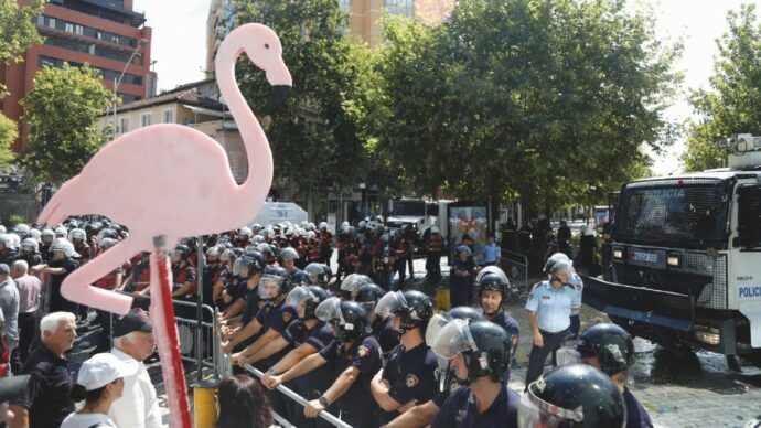 La Flotilla italiana parte per i fenicotteri albanesi