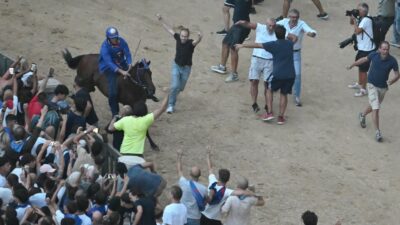 Copertina di Palio di Siena: fantino e cavallo travolti dalla folla dopo il successo del Nicchio. Tittia resta ricoverato in ospedale