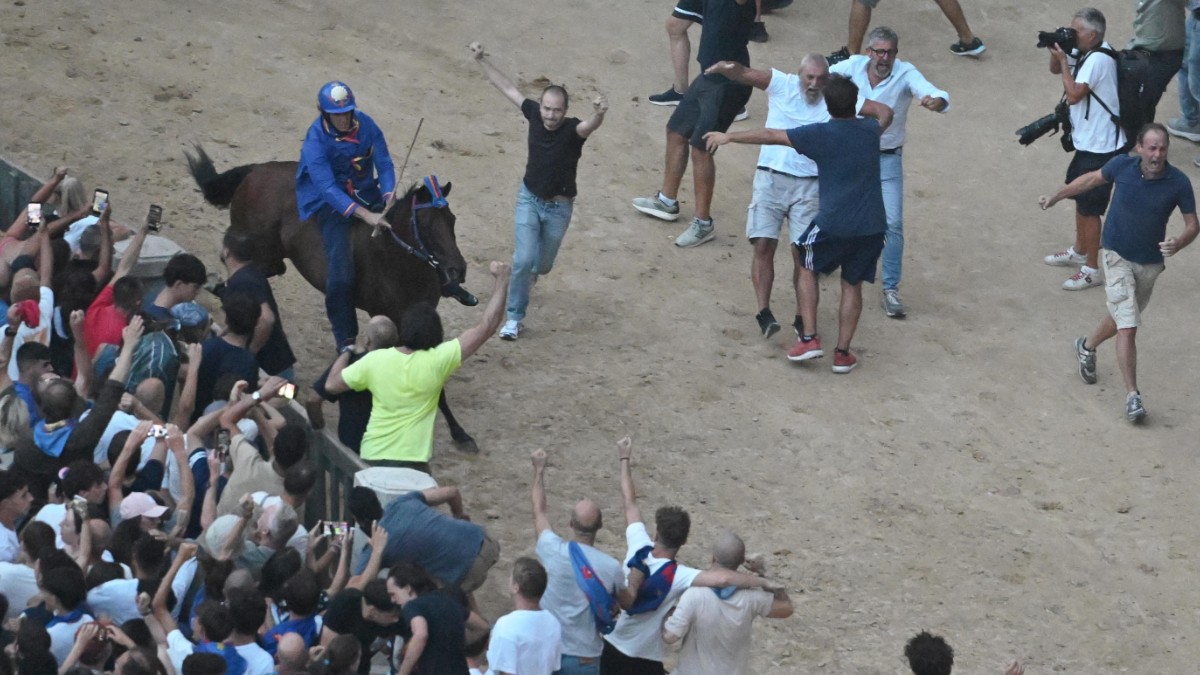 palio di siena fantino e cavallo travolti dalla folla dopo il successo del nicchio tittia resta ricoverato in ospedale da Ilfattoquotidiano.it palio di siena fantino e cavallo travolti dalla folla dopo il successo del nicchio tittia resta ricoverato in ospedale