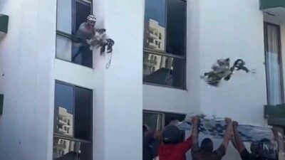 Copertina di Cane rimane intrappolato al sesto piano dopo il terremoto in Colombia: lo lanciano su un telo per salvarlo, il video è virale
