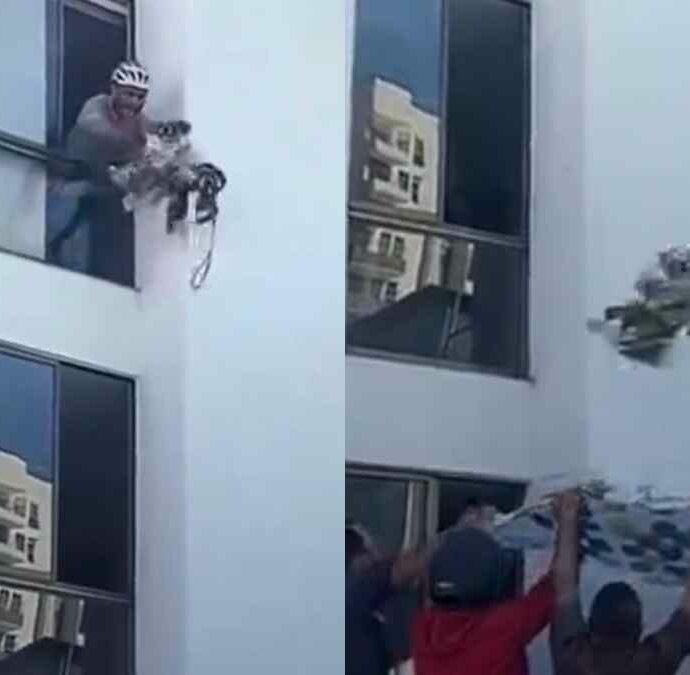 Cane rimane intrappolato al sesto piano dopo il terremoto in Colombia: lo lanciano su un telo per salvarlo, il video è virale