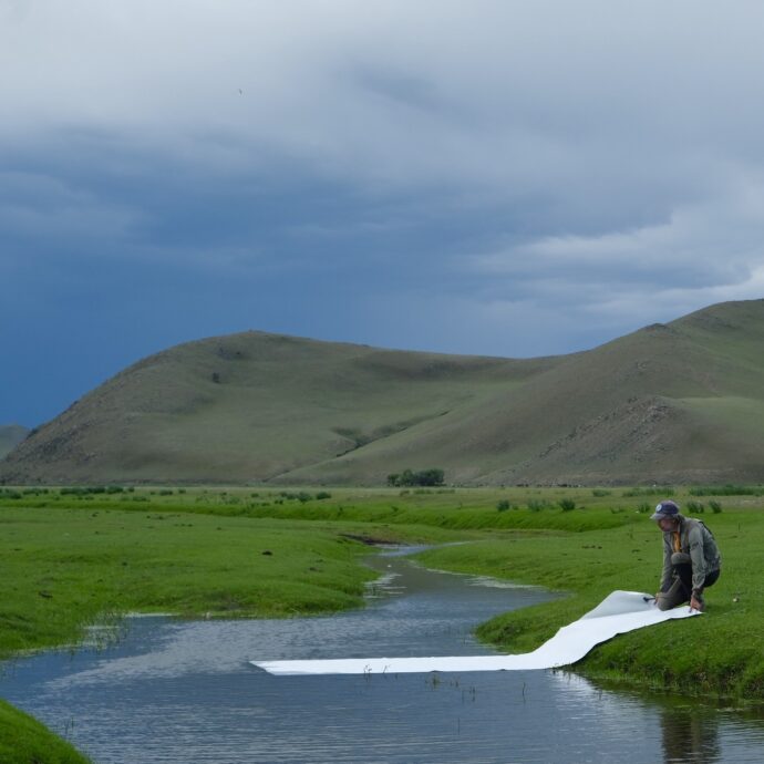 “Non c’è nessuna differenza tra me e un filo d’erba”: tele lasciate per 30 giorni nei fiumi della Mongolia, l’incredibile esperimento artistico di Roberto Ghezzi