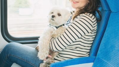Copertina di “Per un problema del sistema non si poteva acquistare online il biglietto per portare il cane in treno, nessuno sapeva aiutarmi. Ora mi è arrivata una multa da oltre 300 euro”: la denuncia di Eleonora Berretti