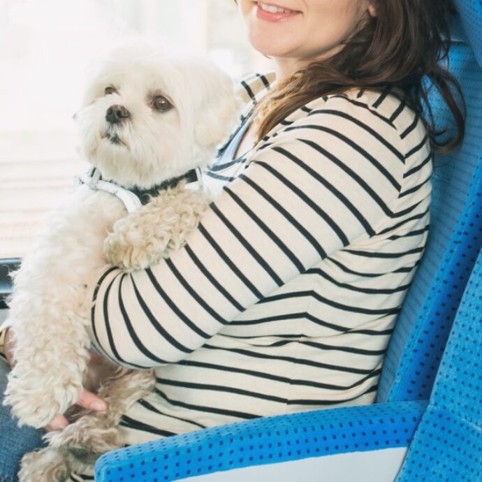 “Per un problema del sistema non si poteva acquistare online il biglietto per portare il cane in treno, nessuno sapeva aiutarmi. Ora mi è arrivata una multa da oltre 300 euro”: la denuncia di Eleonora Berretti