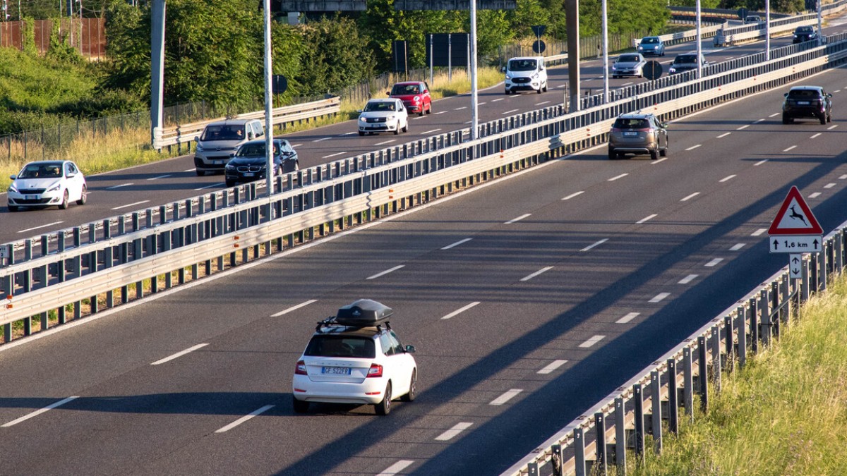 stop alle targhe polacche la rc auto italiana diventa obbligatoria anche per i veicoli esteri basta escamotage per sottrarsi alle regole da Ilfattoquotidiano.it stop alle targhe polacche la rc auto italiana diventa obbligatoria anche per i veicoli esteri basta escamotage per sottrarsi alle regole