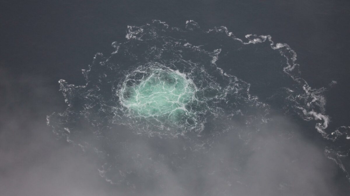 snake island per il suo film sul sabotaggio del nord stream il regista liman aveva assunto come consigliere uno dei presunti sabotatori da Ilfattoquotidiano.it snake island per il suo film sul sabotaggio del nord stream il regista liman aveva assunto come consigliere uno dei presunti sabotatori