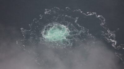 Copertina di Snake Island, per il film con Sean Penn sull’attentato al Nord Stream era stato assunto come consigliere uno dei presunti sabotatori
